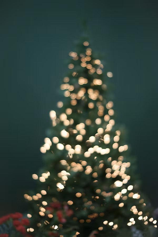 Blurred image of a lit Christmas tree